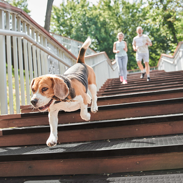 Flexco Outdoor Rubber Treads