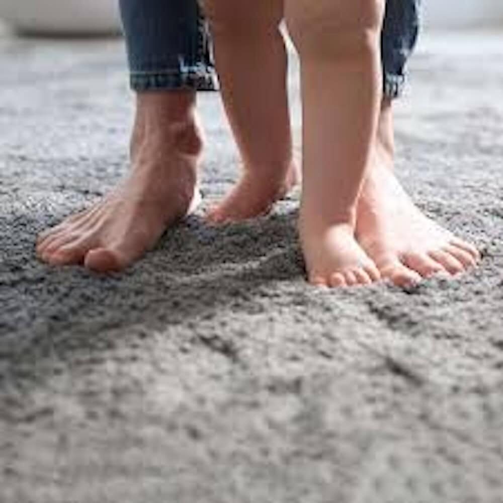 Broadloom Carpet Category image